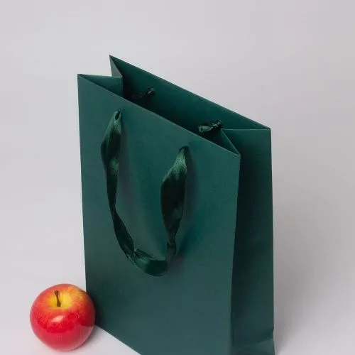 Пакет 23x36x10, зеленый, лента, эфалин VIP