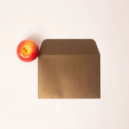 Конверты, 23x16, коричневый, перламутровый