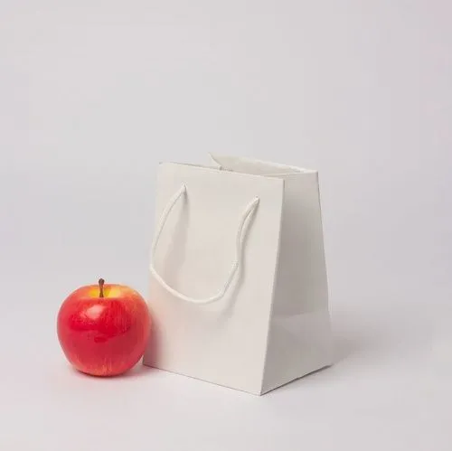 Пакет 13x18x11, белый, плотный крафт