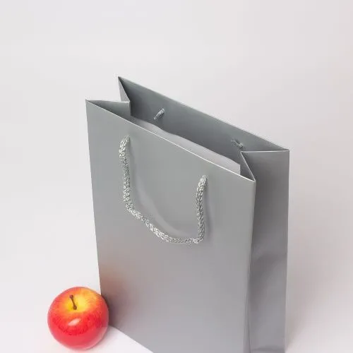 Пакет 23x36x10, серебро, меловка