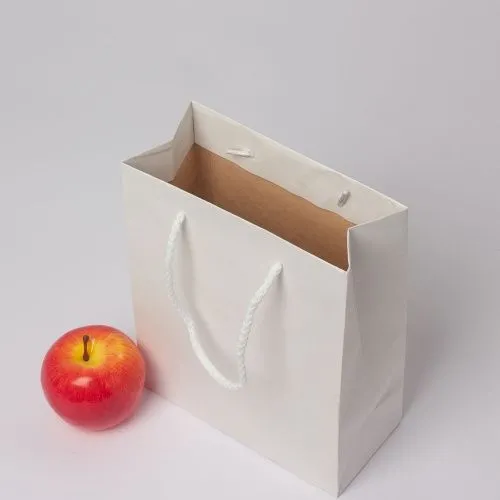 Пакет 19x23x9, белый, плотный крафт