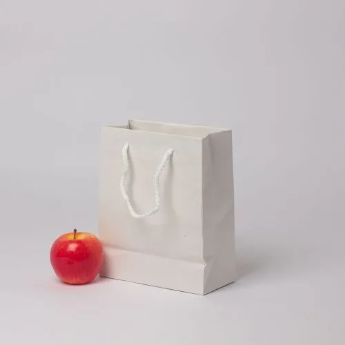 Пакет 19x23x9, белый, плотный крафт