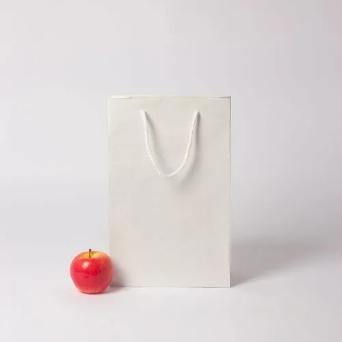 Пакет 23х36х10, белый, плотный крафт