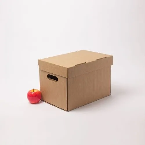 Коробка архивная самосборная с откидной крышкой 33х23х23, Т23В бур/бур, без печати, бурый