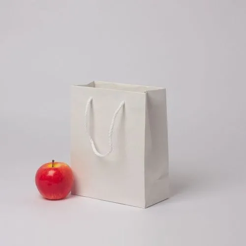 Пакет 19x23x9, белый, плотный крафт