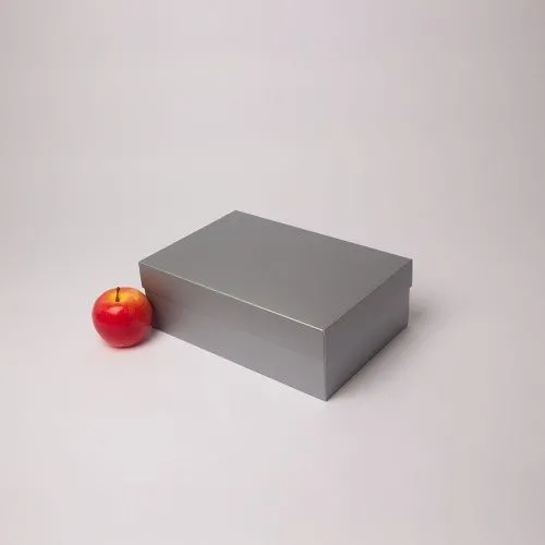 Коробка крышка-дно 30x10x20, серебро, картон