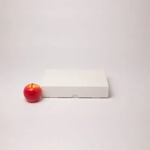 Коробка с откидным верхом 30x5x20, картон