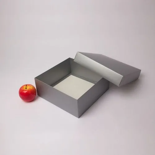 Коробка крышка-дно 25x10x25, серебро, картон